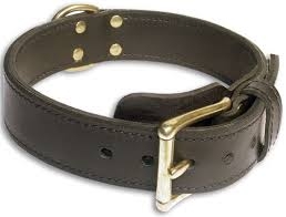 Leather Dog Collar