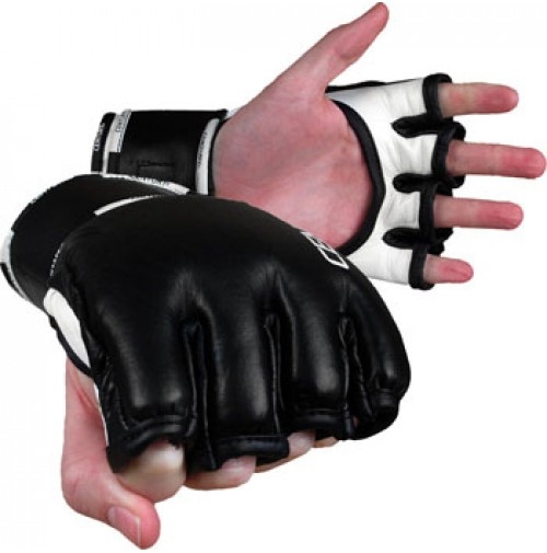MMA Gloves