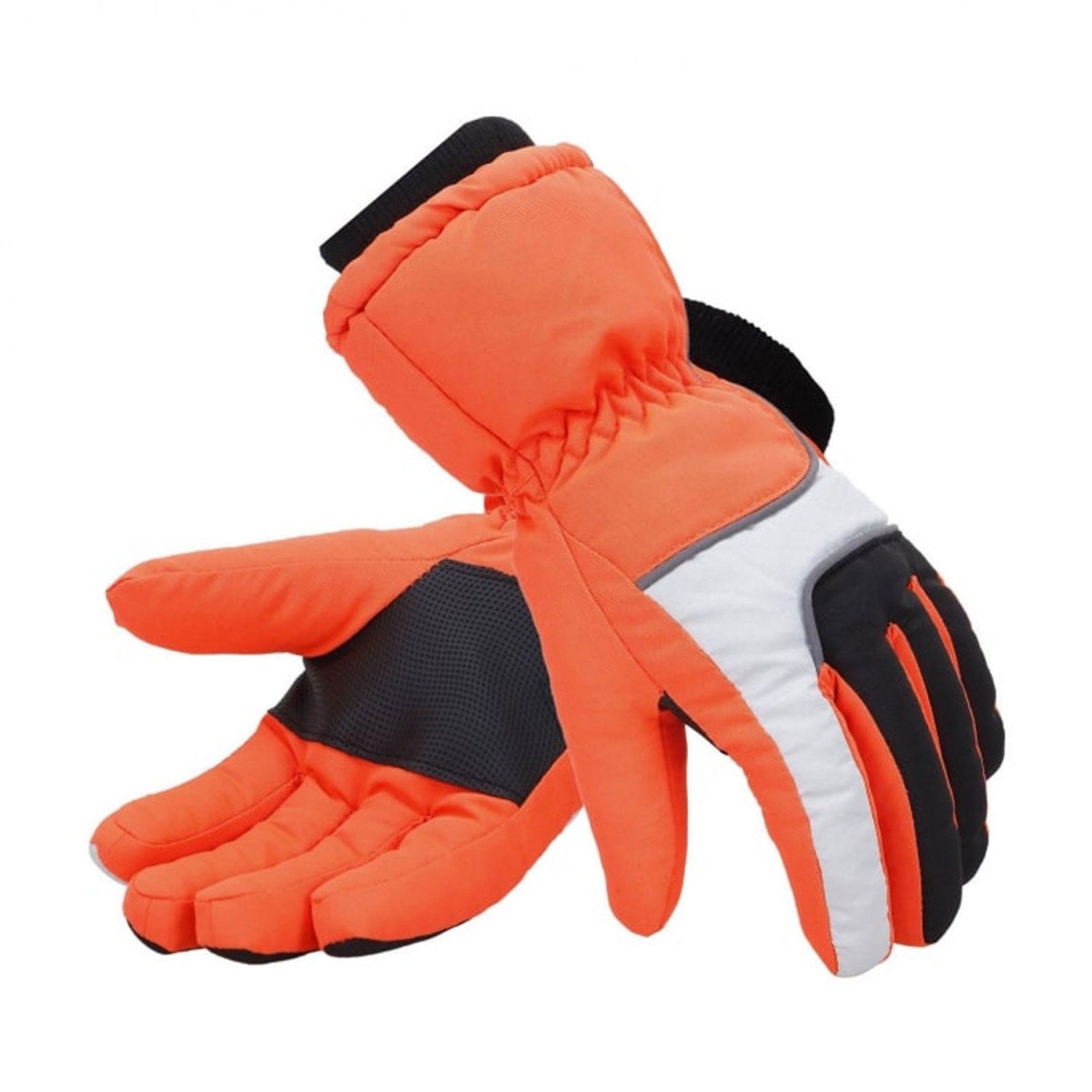 SKI Gloves