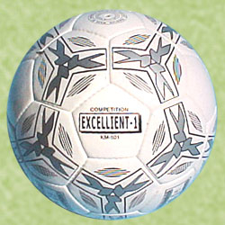 Professional Match Ball