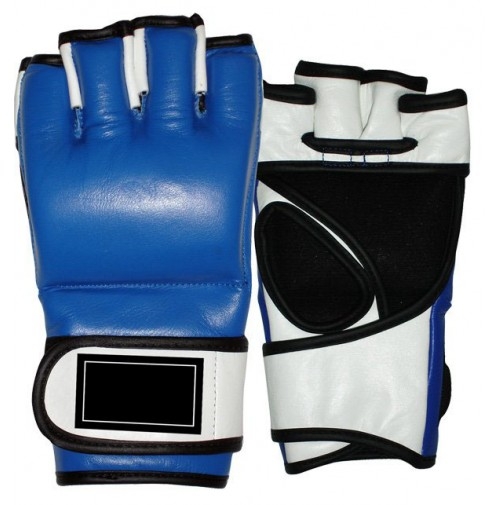 MMA Gloves